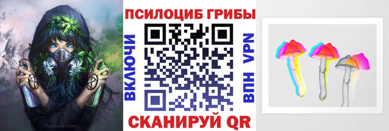 МЕГА tor  дарнет шоп  даркнет какой сайт  Галлюциногенные грибы GOLDEN TEACHER  Черноголовка 